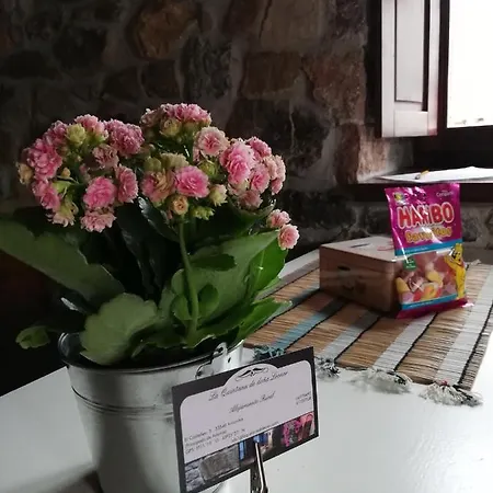 La Quintana De Dona Leonor Ferienhaus