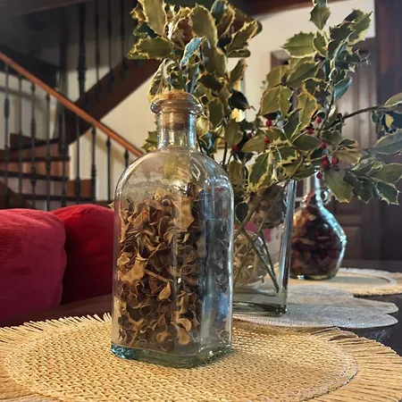 Tatil Evi La Quintana De Dona Leonor *