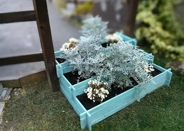 La Quintana De Dona Leonor *