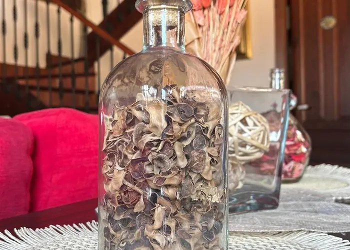 La Quintana De Dona Leonor