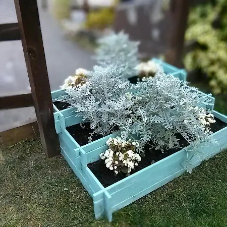 La Quintana De Dona Leonor *