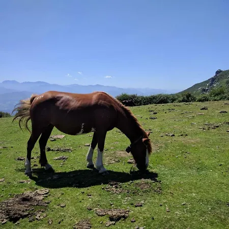 펜션 La Quintana De Dona Leonor